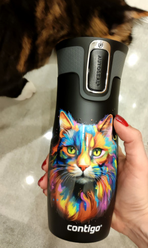 Żaneta, Lublin Żaneta, Lublin